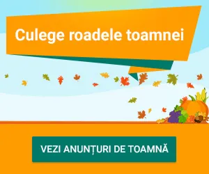 Small banners - Detail 11